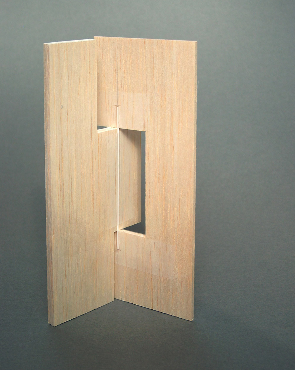 Plastico-porta-foto-007